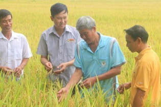 Sau 2 quý sụt giảm lợi nhuận, Lộc Trời trông chờ thời điểm cuối năm