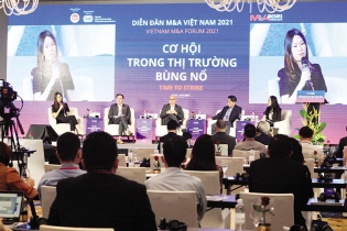 Danh mục M&A sẽ nối dài trong những năm tiếp theo