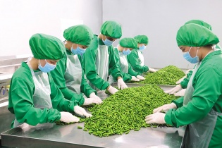 Đường đến Mỹ của Dh Foods