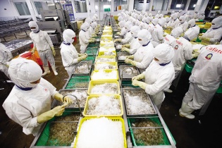 Đau đầu vì ngân hàng dừng nhận chứng từ sang Nga