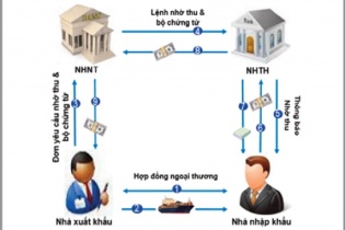 Doanh nghiệp bị lừa, ngân hàng thu hộ vô can?