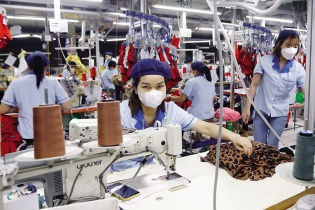 Phát lộ những bất lợi cho xuất khẩu