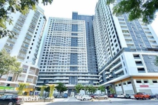 Nhà Đà Nẵng phiêu lưu với đầu tư chứng khoán