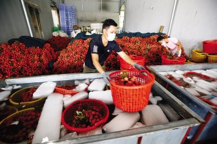 Cải thiện năng lực cạnh tranh cấp tỉnh: Căng thẳng cuộc đua ở cấp thực thi