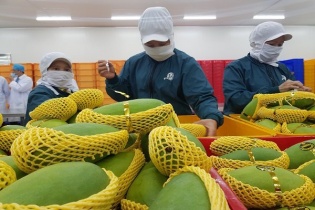 Chỉ dấu tích cực cho xuất khẩu sang Trung Quốc