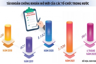 Lỗ đầu tư chứng khoán kéo lùi lợi nhuận nhiều tổ chức