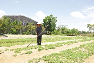Mắc kẹt tại dự án của Công ty TNHH Chí Thành