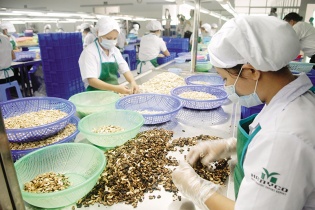 Cách thức để doanh nghiệp tránh “bẫy” lừa xuất khẩu