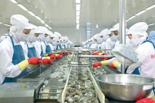 Doanh nghiệp thủy sản tăng năng suất, lợi nhuận nhờ công nghệ số