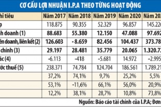 I.P.A kinh doanh lao dốc, giá cổ phiếu bốc hơi