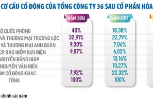 Tổng công ty 36 kinh doanh lao dốc hậu cổ phần hóa