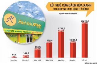 MWG và “ván cược” mạo hiểm 7 năm ở Bách hóa xanh