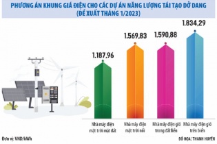 Có còn hào hứng khi đầu tư vào dự án năng lượng tái tạo