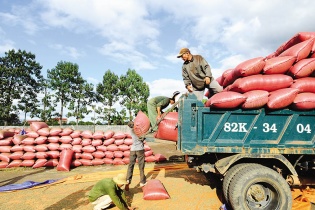 EVFTA tạo xung lực mới cho thương mại và đầu tư Việt Nam – EU