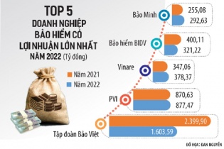 Doanh nghiệp bảo hiểm “nặng gánh” chi phí bồi thường