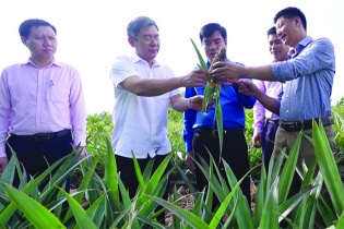 Tín dụng chính sách: Trụ cột phát huy tiềm lực thanh niên