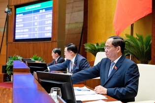 Chọn phương án hài hòa trong Luật Đấu thầu