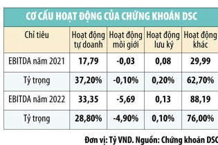 Công ty cổ phần Chứng khoán DSC: Suy giảm niềm tin vào cổ đông lớn