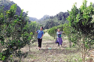 Ngân hàng Chính sách xã hội: Hành trình 21 năm gieo niềm tin và khát vọng