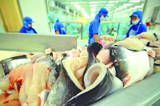 Vĩnh Hoàn điều chỉnh chiến lược