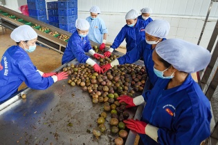 Xuất khẩu sang châu Đại Dương chờ “bùng nổ”