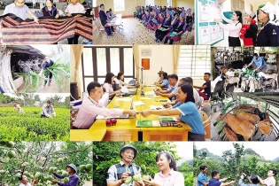 Tín dụng chính sách xã hội tạo cơ hội tiếp cận vốn bình đẳng cho người nghèo