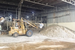 Doanh nghiệp bột mì phản ứng với phán quyết trốn thuế