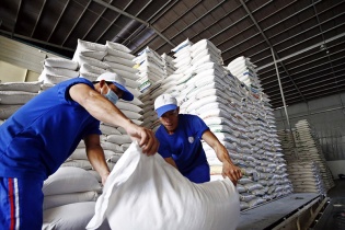 Xuất khẩu gạo năm 2024 dự báo vượt mức 5 tỷ USD
