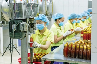 Doanh nghiệp Việt oằn lưng ứng phó với phòng vệ thương mại
