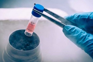 Phát triển thuốc mới từ công nghệ tế bào gốc
