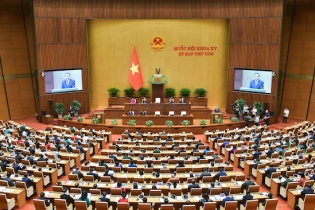 Năm phút ở nghị trường