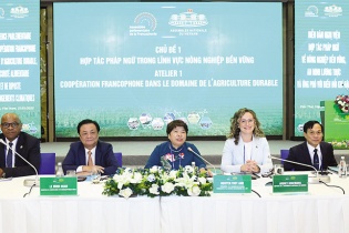 “Cùng nhau đi xa” phát triển nông nghiệp bền vững