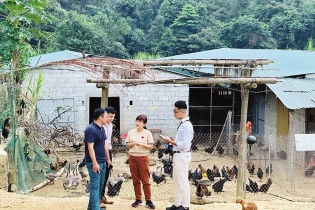 Tín dụng chính sách đưa mùa xuân hạnh phúc về các bản làng