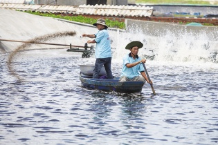 Doanh nghiệp gánh nhiều chi phí rất khó giải thích