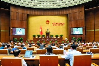 Gấp rút ban hành chính sách đặc biệt phát triển kinh tế tư nhân