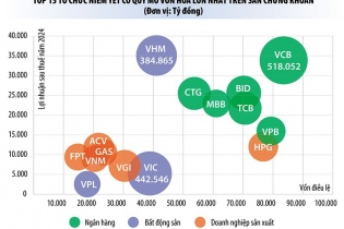 Hành trình 25 năm thị trường chứng khoán Việt Nam: Tôi luyện bản lĩnh doanh nghiệp Việt