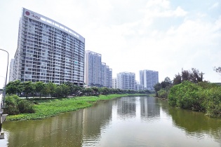 Hàng chục ngàn căn hộ tại TP.HCM vẫn “treo” sổ hồng Hàng chục ngàn căn hộ tại TP.HCM vẫn “treo” sổ hồng