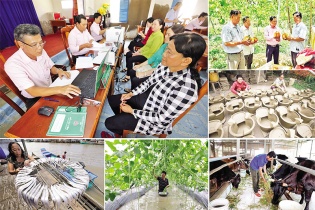 Ngân hàng Chính sách xã hội: Giảm lãi suất cho vay các chương trình tín dụng chính sách