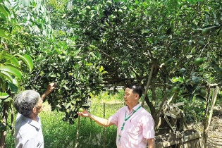 Giá trị sau những khoản vay