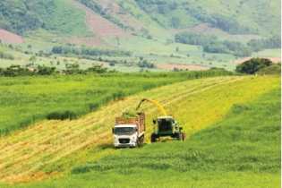 4 tháng, kim ngạch xuất khẩu nông lâm thủy sản 4 đạt 9,13 tỷ USD