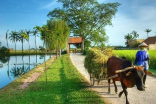 Lấy cả tiền của người nghèo để làm đường, xây dựng nông thôn mới