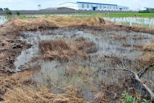 Rà soát tất cả các các dự án xả thải có nguy cơ gây ô nhiễm môi trường