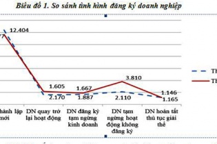Doanh nghiệp kinh doanh bất động sản ồ ạt thành lập mới
