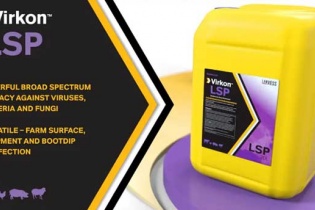 LANXESS ra mắt thuốc diệt khuẩn đa năng chống dịch tả lợn châu Phi