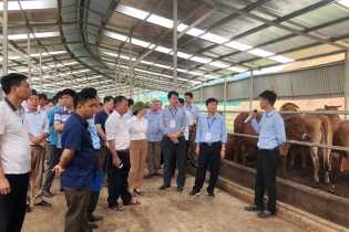 Sôi nổi hoạt động Tổng kết Hội nghị nông thôn mới miền núi phía Bắc năm 2019