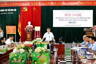 Lạng Sơn phân hạng 11 sản phẩm OCOP năm 2020