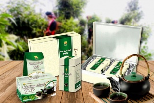 Chăm sóc sức khỏe với chè shan tuyết Pà Cò