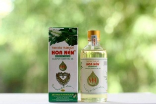 Công bố chỉ dẫn địa lý sản phẩm tinh dầu tràm tỉnh Thừa Thiên Huế