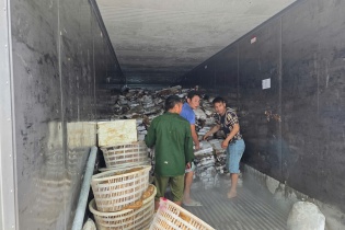Lại thêm vụ thực phẩm “bốc mùi” tại Móng Cái: Hơn 25 tấn hàng không có giấy tờ hợp lệ