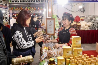 Hội chợ Công Thương vùng Đồng bằng sông Hồng - Hải Phòng 2025: Kết nối giao thương và liên kết vùng